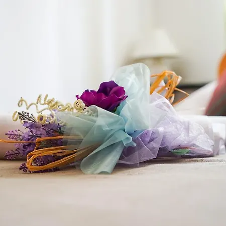 Floral Apartament Zadar