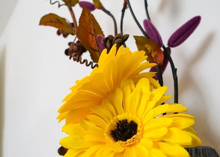 Apartamento Floral *